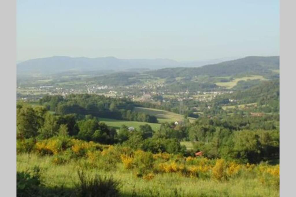 Gite De Moyenne Montagne Anould Exterior foto